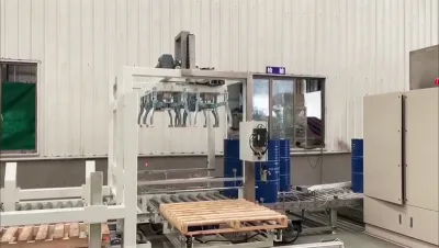 Cartesian Palletizer (Gantry Palletizer)